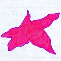 horsegiirL - starsiigns