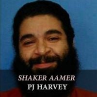 PJ Harvey - Shaker Aamer