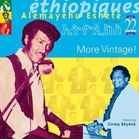 ዓለማየሁ እሸቴ [Alemayehu Eshete] - &Eacute;thiopiques (ኢትዮጲክስ) 22 : More Vintage! (1972-1974)