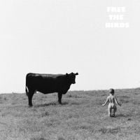 FREE THE BIRDS - &Agrave;ndale