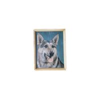 Personal Trainer - Former Puppy
