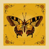Beetlebug - the lepidopterist