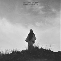 Nicolicio - Bildungsroman