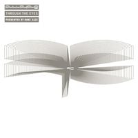 Roni Size - Through The Eyes