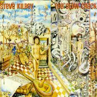 Steve Kilbey - The Slow Crack