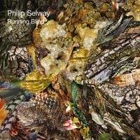Philip Selway - Running Blind