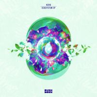 KERO - Ecosystem