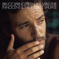 Bruce Springsteen - The Wild, the Innocent & the E Street Shuffle