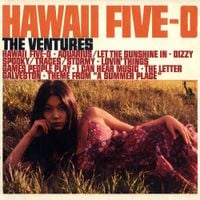 The Ventures - Hawaii Five-O