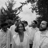 Madera Jazz - Cuando Nos Movemos