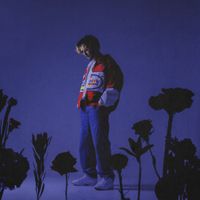 CAKEBOY - FLOWER POWER