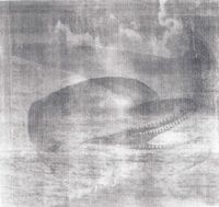 Pan Dolphinic Dawn - Pan Dolphinic Dawn