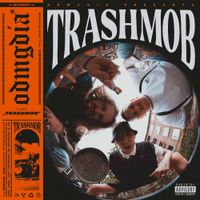 ODMGDIA - TRASHMOB