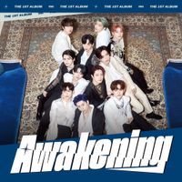 INI - Awakening