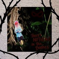 Joshua Bond - There's Nothing In the Bushes