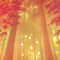Greg Sheffield - IGNIS FATUUS SOLARIS
