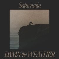 Damn The Weather - Saturnalia