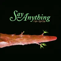 Say Anything - &hellip;Was a Real Boy