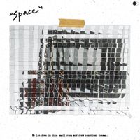 The Poles - space