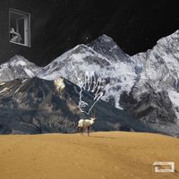 The Poles - From The Outset