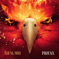 Young Dro - Phoenix