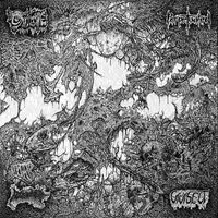 Blood Spore - Dreading the Mycelial Mask