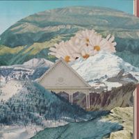 Skye Peterson - Where The Winter Was