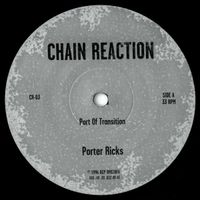 Porter Ricks - Port of Transition / Port of Call