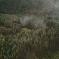 NORTH - Yggdrasil