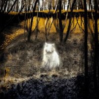 Matt Draugos & Klwn Cat - Dragon Li