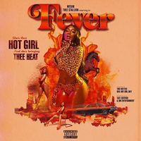 Megan Thee Stallion - Cash Shit