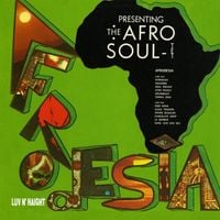Afro-Soultet - Afrodesia