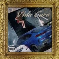 Orochi - VIDA CARA