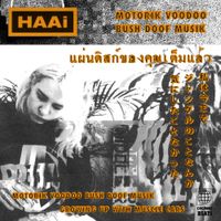 HAAi - Motorik Voodoo Bush Doof Musik