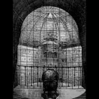 Glacier - Age of Genius