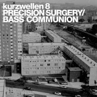 Bass Communion - Kurzwellen 8: Precision Surgery Inversions