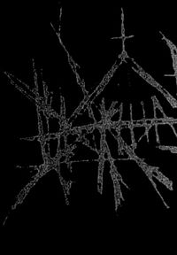 Blackline - Demo VI