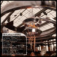Various Artists - SHUBZINVA002