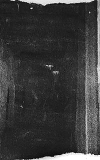 Verme - Encanto P&uacute;trido