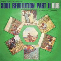 Bob Marley & The Wailers - Soul Revolution Part II (Dub)