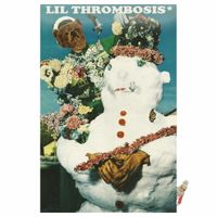 Lil Thrombosis - YOU PLAYIN CHECKERS???