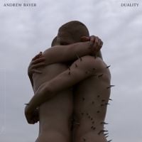 Andrew Bayer - Duality