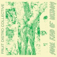 Fruit Disco Collective - Some Kind of Wisdom