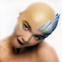 Bj&ouml;rk - Hunter