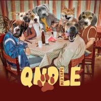 QueQuality - QNDLE (Mixtape)