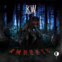 Kai Wachi - Amnesty
