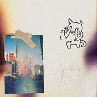 Brayden Potts - shine