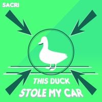 sacri - This Duck Stole My Car