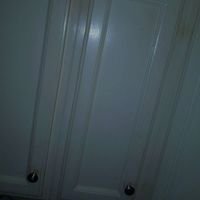 Andrew Vernon - cabinet vol 02