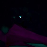Oreox4 - CRACKHEAD ERA